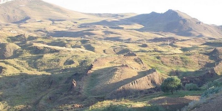 Американский профессор решил отыскать Ноев ковчег