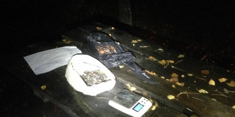 Двое жителей Николаевщины задержаны в Житомирской области за незаконную скупку янтаря – изъято янтаря на 10 тыс.грн.