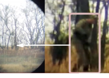 Тревожный звонок: украинский разведчик снял боевика в украинской форме. Готовят провокации?