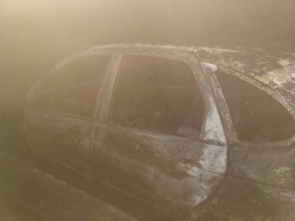На Николаевщине дотла сгорел автомобиль "Renault" 1