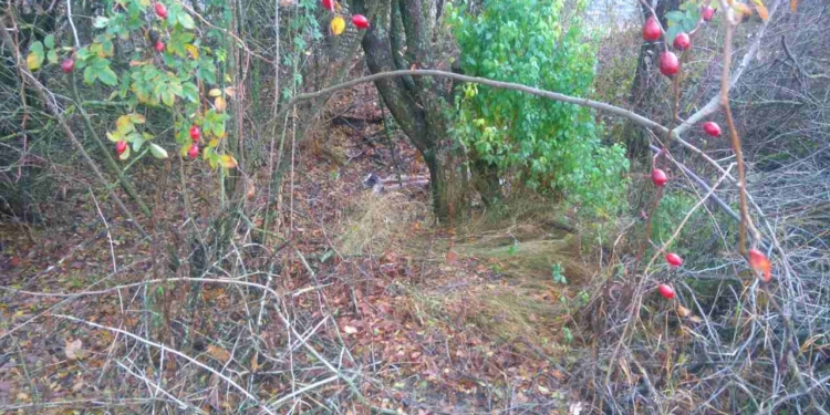 32 удара ножом из-за конфет с могил. В Харьковской области изверг напоил и убил ребенка