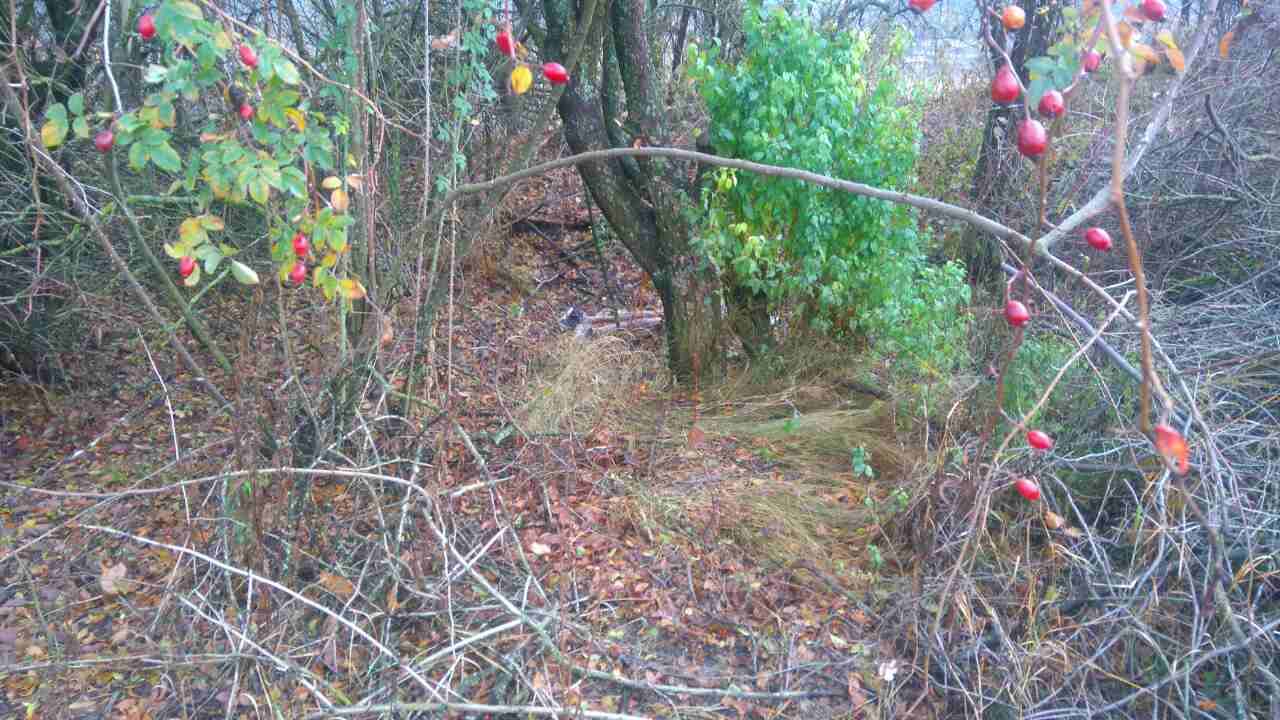 32 удара ножом из-за конфет с могил. В Харьковской области изверг напоил и убил ребенка