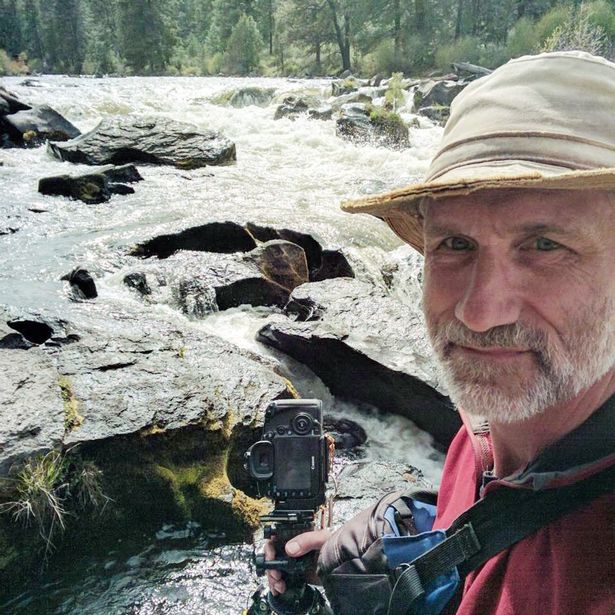 Нежданные гости: на веранду дома американского фотографа рысь привела всех своих котят 2