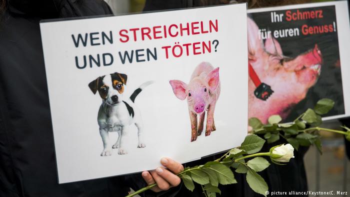 В Швейцарии мясников, публично зарезавших двух свиней с целью возрождения древней традиции, сравнили с боевиками ИГИЛ 1