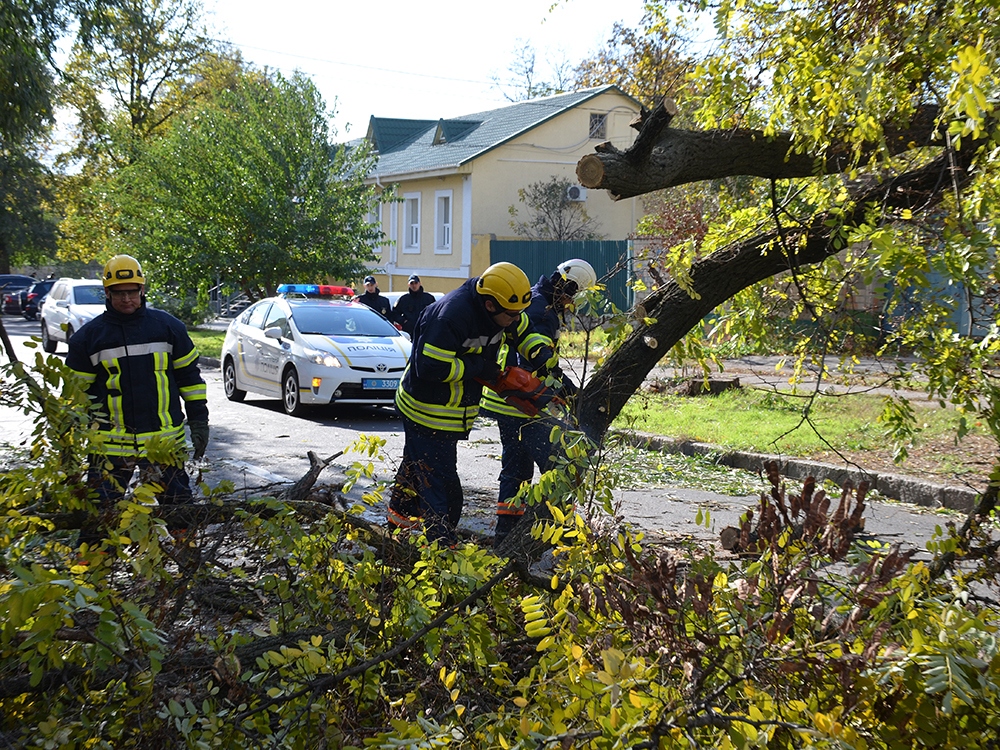 Шквалистый ветер на Николаевщине: в Николаеве падают деревья, а в Снигиревском районе летают металлические конструкции 5