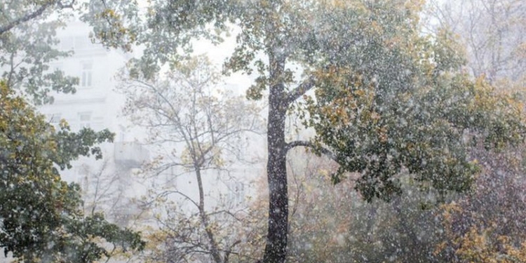 От урагана Герварт в Европе погибло уже 6 человек