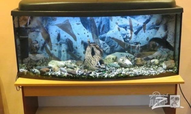 ДТП в Харькове: в интернете появились фото СИЗО, где находится Зайцева