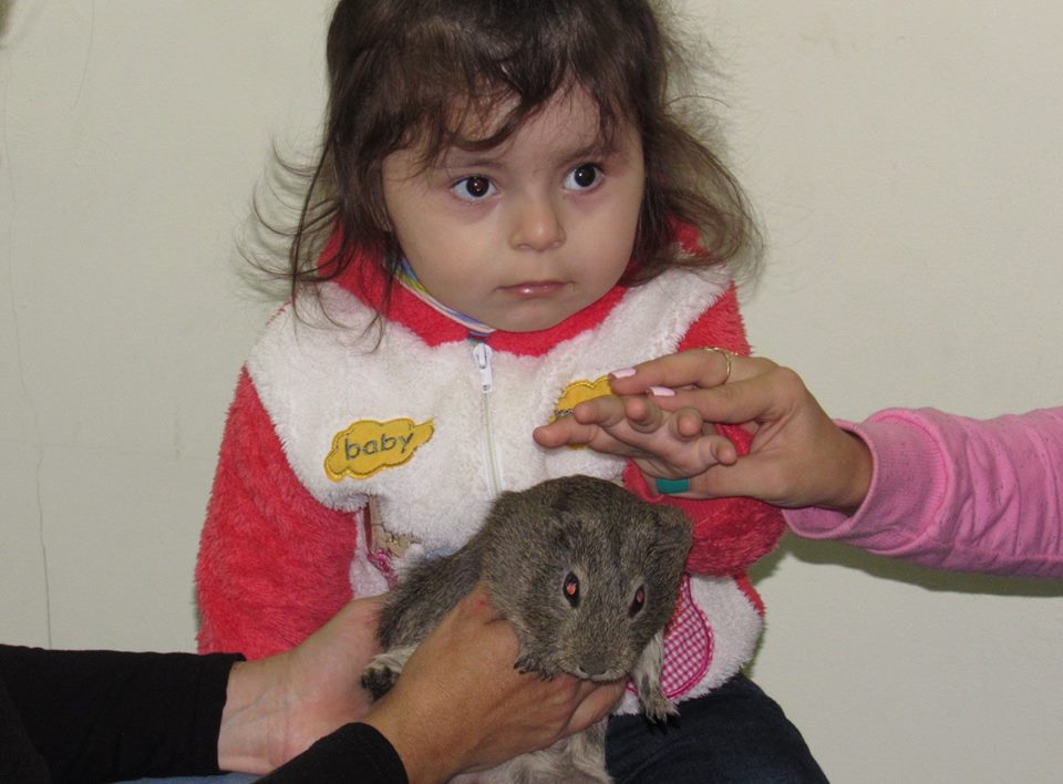 В Николаевском зоопарке продолжает проводить сеансы зоотерапии для детей с особыми потребностями 9