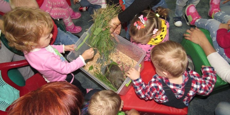 В Николаевском зоопарке продолжает проводить сеансы зоотерапии для детей с особыми потребностями