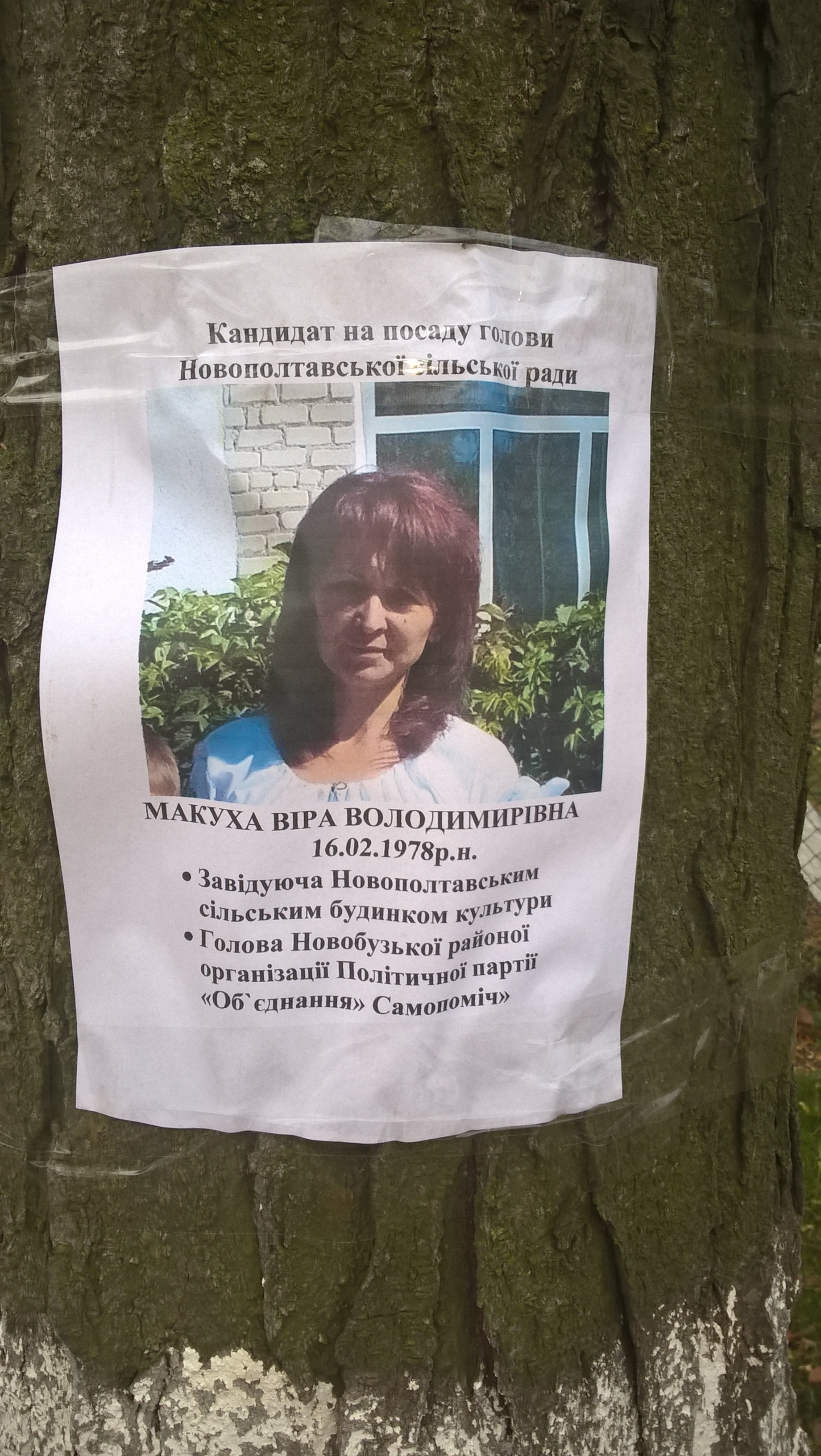 Выборы на Николаевщине: ничего не меняется – кандидат в Новополтавские сельские головы нарушает Закон о местных выборах