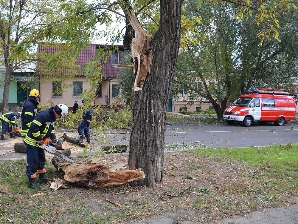 Шквалистый ветер на Николаевщине: в Николаеве падают деревья, а в Снигиревском районе летают металлические конструкции 13