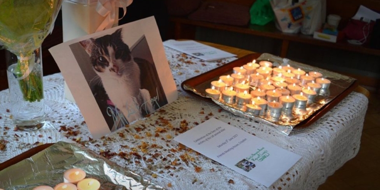 В Англии ищут маньяка, на его счету 370 обезглавленных кошек за 2 года. Жертвами могут стать и женщины