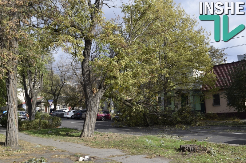 В центре Николаева на дорогу рухнула часть акации – чудом никто не пострадал 13