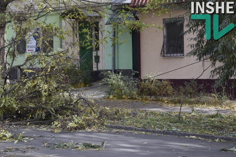 В центре Николаева на дорогу рухнула часть акации – чудом никто не пострадал 3