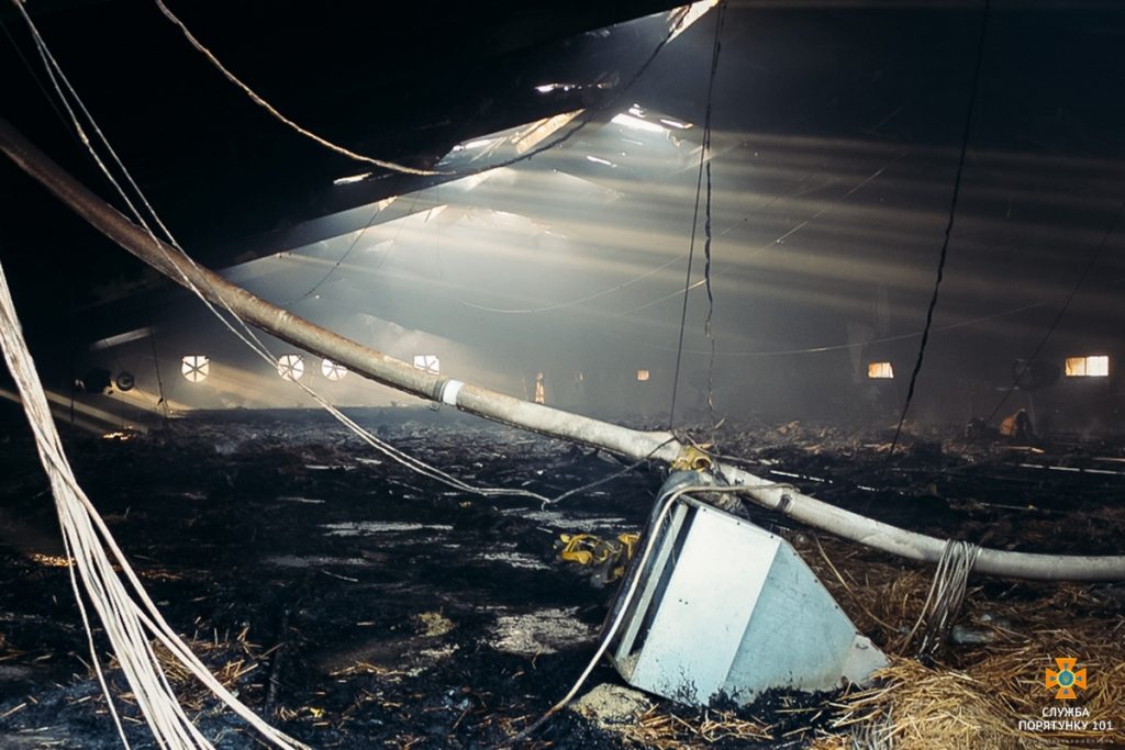 В Тернопольской области сгорела птицеферма и 29 тыс. цыплят 3