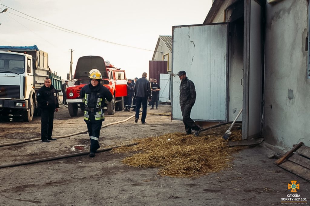 В Тернопольской области сгорела птицеферма и 29 тыс. цыплят 5
