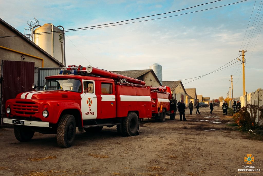 В Тернопольской области сгорела птицеферма и 29 тыс. цыплят 15