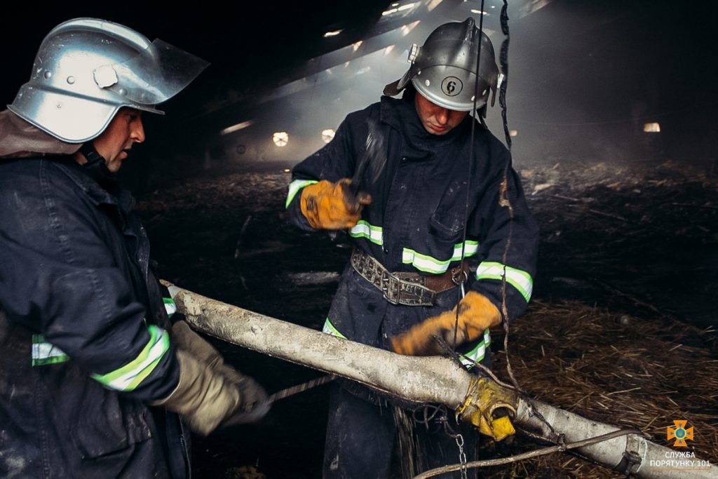 В Тернопольской области сгорела птицеферма и 29 тыс. цыплят 19