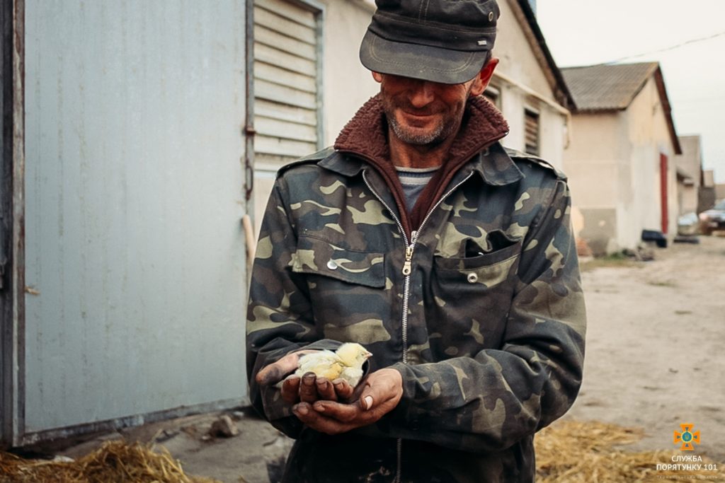 В Тернопольской области сгорела птицеферма и 29 тыс. цыплят 1