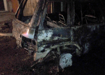 В Первомайском районе пожар в гараже уничтожил автомобиль