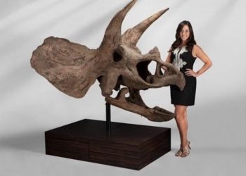 В США на аукцион выставили динозавров