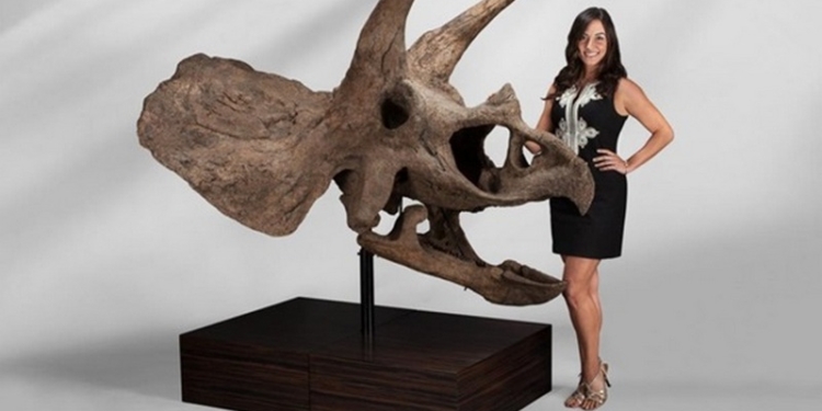 В США на аукцион выставили динозавров