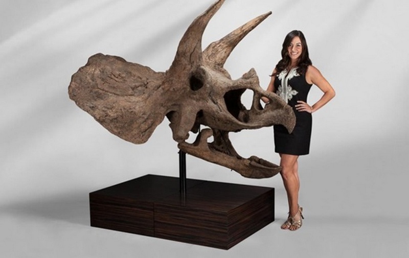 В США на аукцион выставили динозавров 1