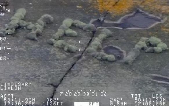 Россиянина спасли с необитаемого острова в Балтийском море благодаря тому, что он выложил мхом слово HELP