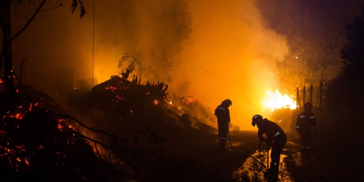 Двое людей сгорели заживо в автомобиле в лесном пожаре в Испании
