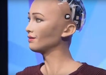 Впервые в истории роботу официально предоставили гражданство