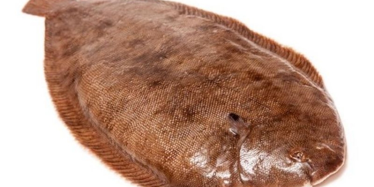 Традиция рыбаков Британии целовать первую пойманную рыбу едва не привела к смерти парня, которому рыба запрыгнула в горло