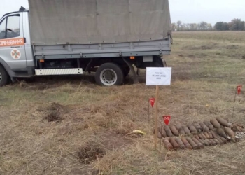 В окрестностях одного села на Николаевщине за три дня собрали 64 снаряда и мины