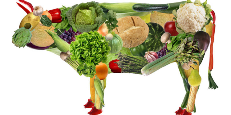 Стало известно, сколько в Украине вегетарианцев и где они живут