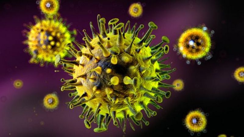"Свиной" грипп вернулся: в Запорожской области диагностировали опасный штамм пандемического вируса гриппа 1