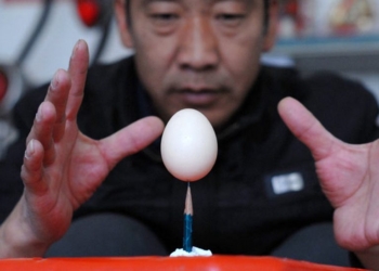 Яйцо на кончике иглы. Когда дальнобойщик решает сменить профессию