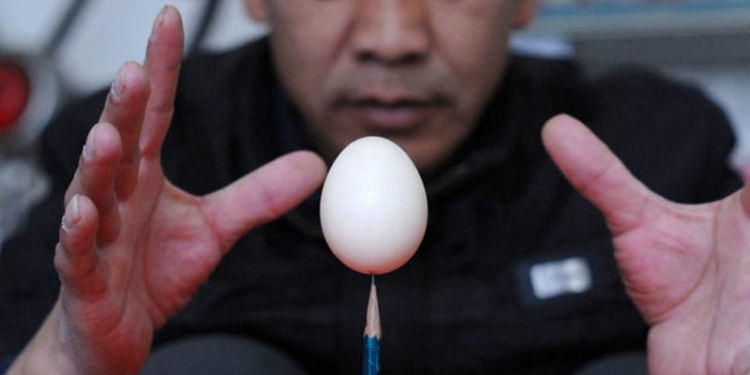 Яйцо на кончике иглы. Когда дальнобойщик решает сменить профессию