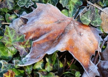 Синоптики предупредили украинцев о заморозках