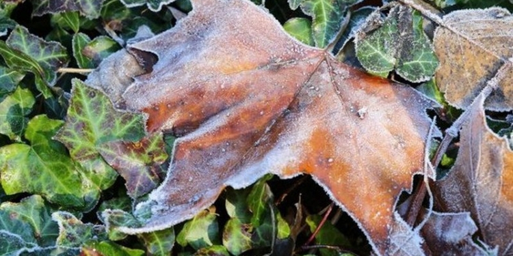 Синоптики предупредили украинцев о заморозках