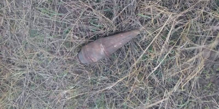 Не только грибы:  в Николаеве нашли заряд к гранатомету