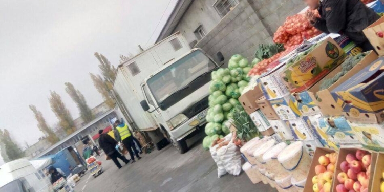 33 выявленных в Николаеве мигрантов-нелегалов принудительно выдворят из Украины