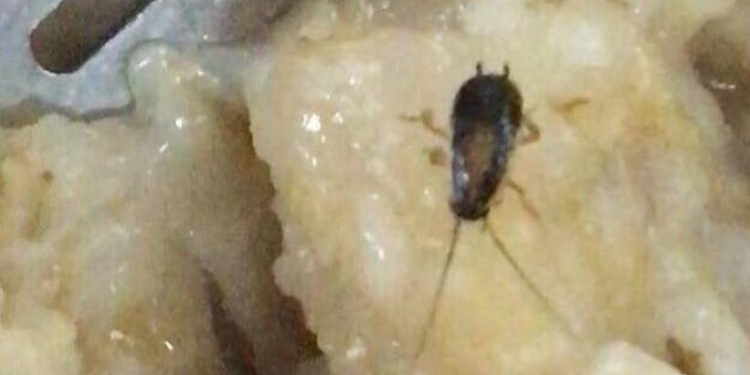 Курсантов Харьковского университета ВВС кормили тараканами и червями