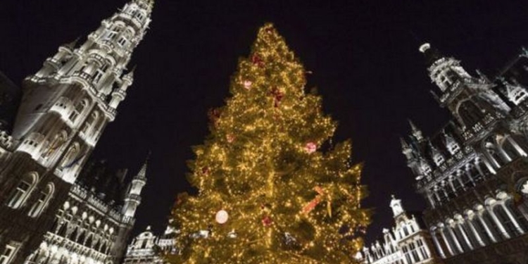 За месяц до Рождества в Брюсселе «зажгут» идеальную рождественскую елку