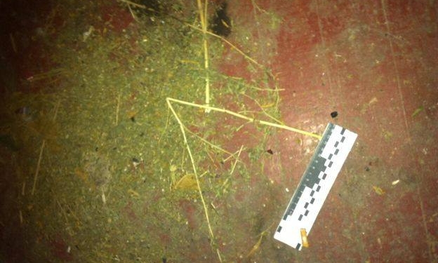 Боевая граната, 300 г марихуаны и наркопритон. И все это у одного жителя Николаевщины