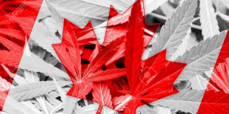 В Канаде хотят подсчитать расходы населения на марихуану – предварительные формулы расчета уже есть