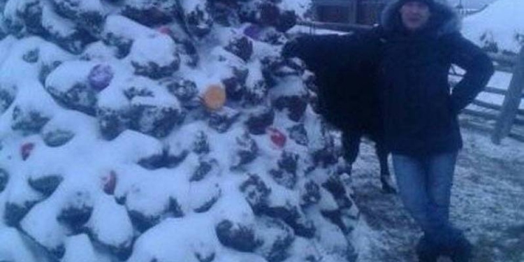 В России знаменитый «скульптор по навозу» создал очередное произведение – елку