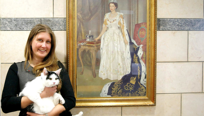 Теперь не только в королевстве: в британское посольство в Иордании на работу принят кот