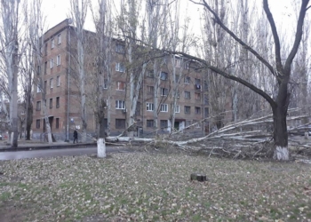 Вроде бы и ветра сильного не было: утро в Николаеве ознаменовалось «падежом» тополей