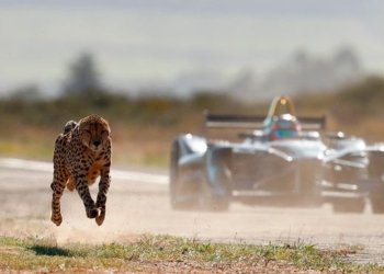 Не ради рекламы, а из-за изменения климата. Потрясающий ролик  – гепард VS электромобиль