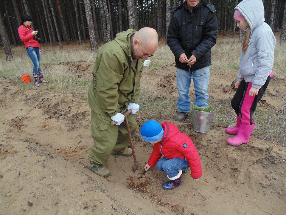 На Николаевщине волонтеры высадили около 20 тысяч сеянцев крымской сосны 3