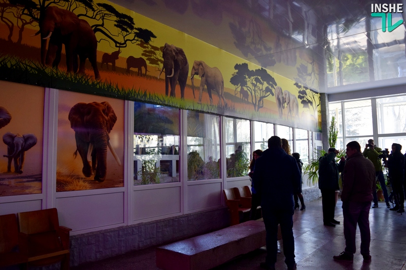 Жирафы, слон и «Остров зверей»: на конференции УАЗА директор Николаевского зоопарка рассказал о планах 21